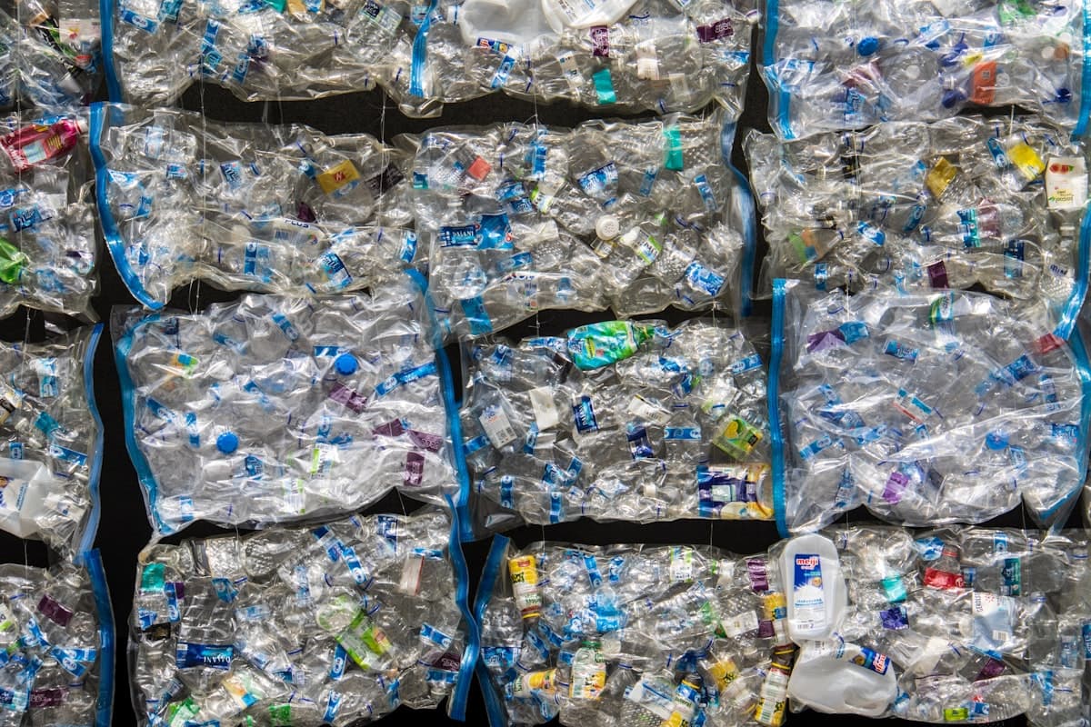 Plastic recycling sorting facility